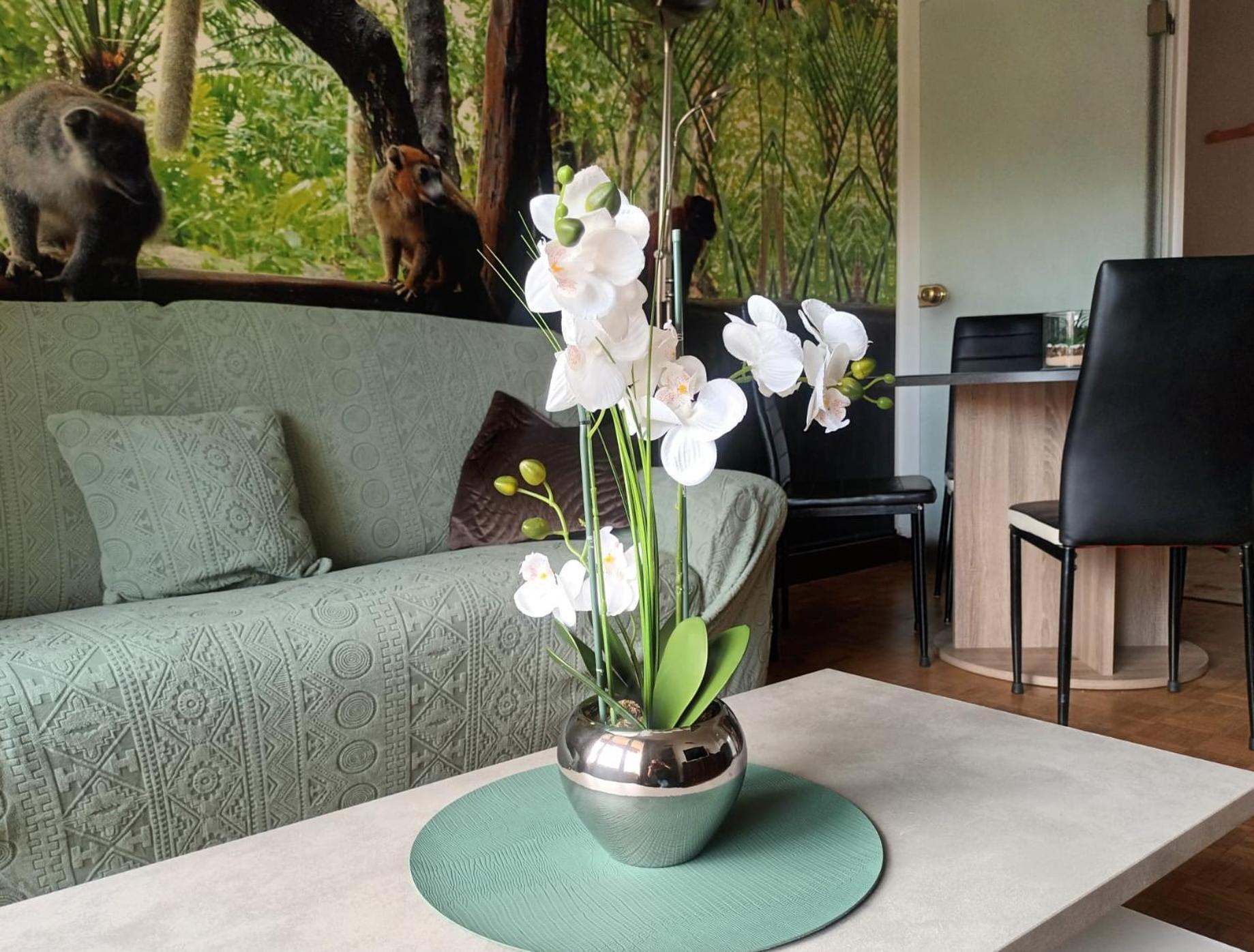 Appartement Escapade Nature Аннесі Екстер'єр фото