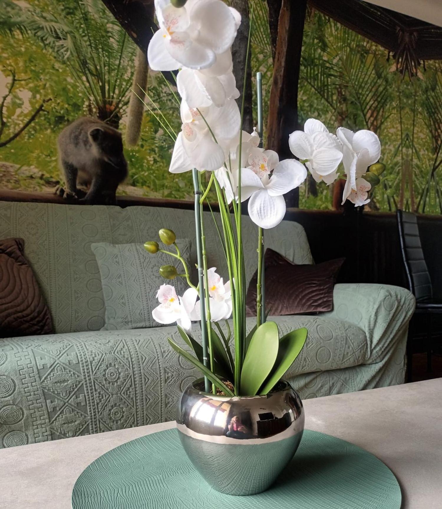 Appartement Escapade Nature Аннесі Екстер'єр фото