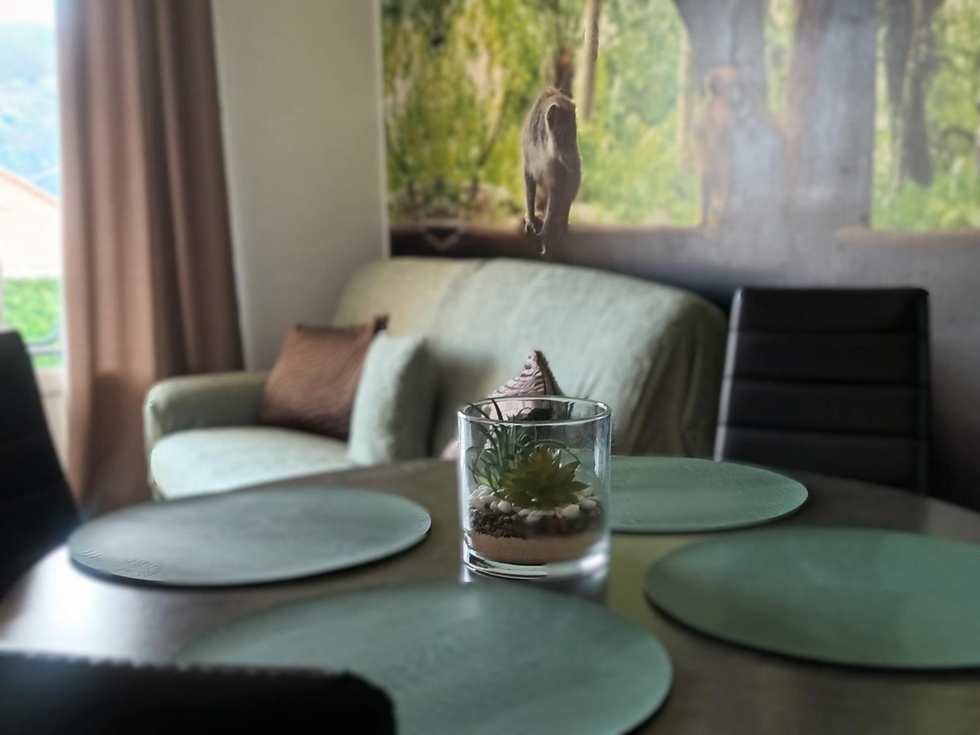 Appartement Escapade Nature Аннесі Екстер'єр фото