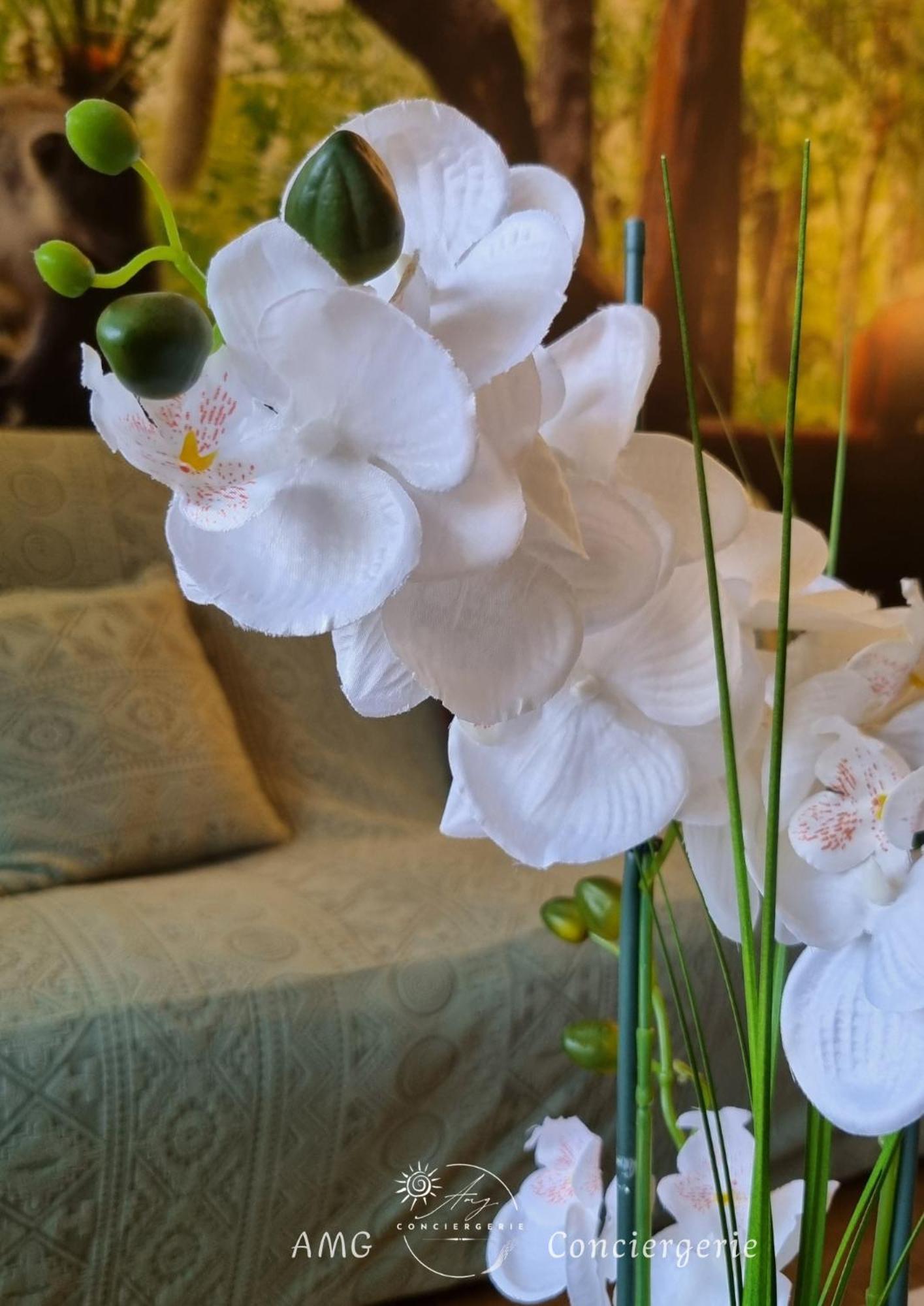Appartement Escapade Nature Аннесі Екстер'єр фото